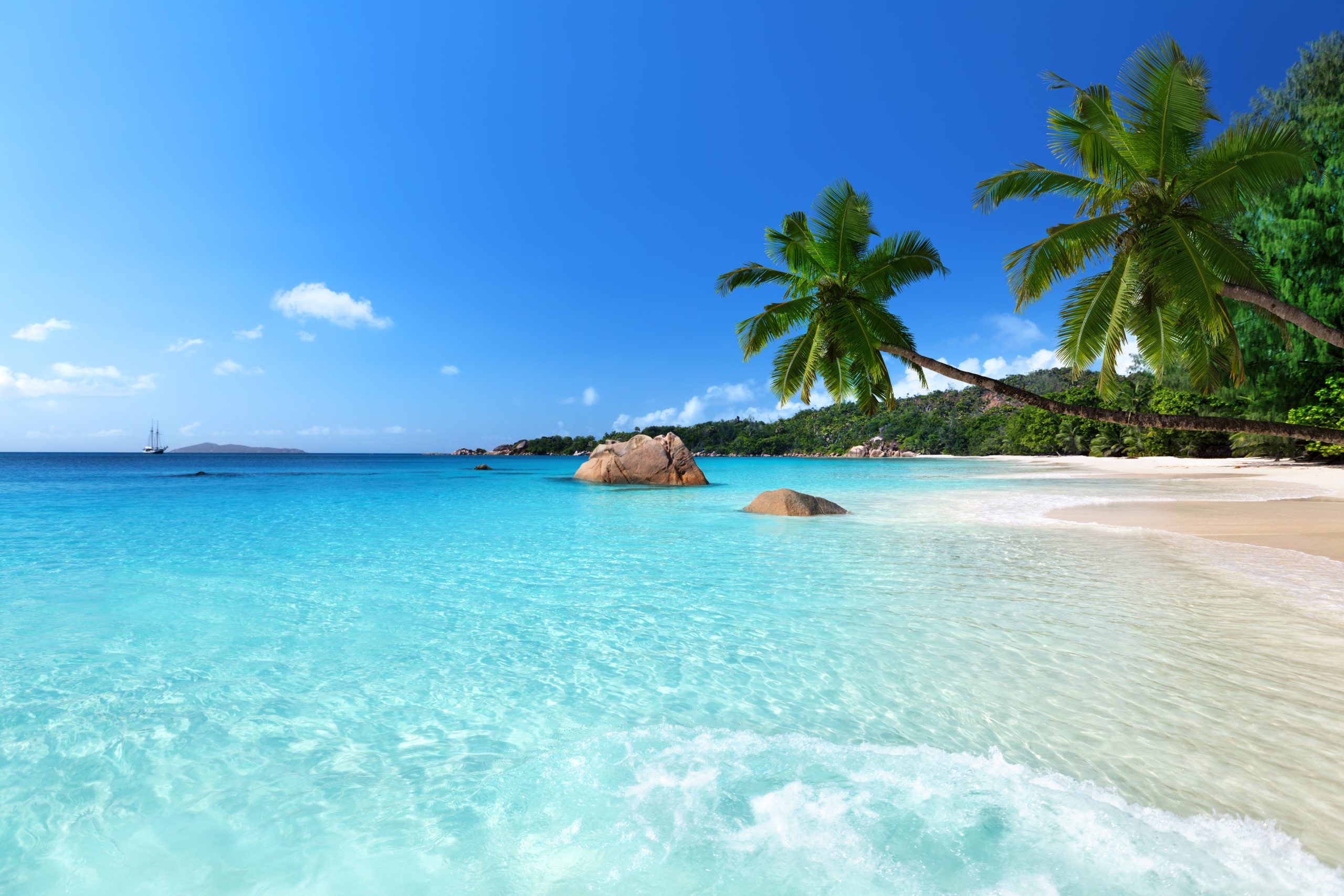 ARDA 2026 State of the Industry: U.S. Timeshare Sales Reach $10.7 Billion